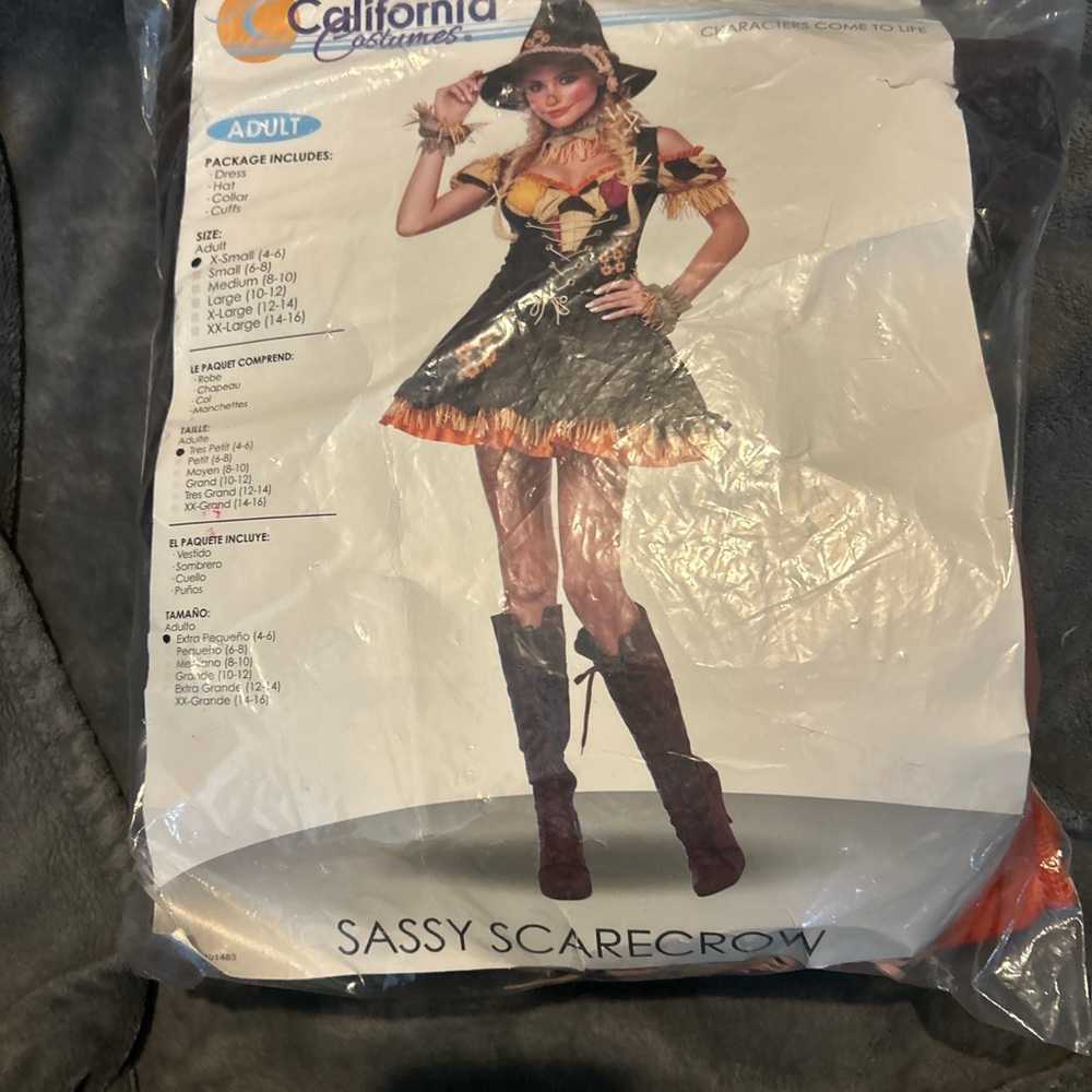 California Costumes Sassy Scarecrow Costume - Black and Orange